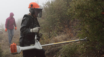 PCTA trail crew volunteer using a brush saw.