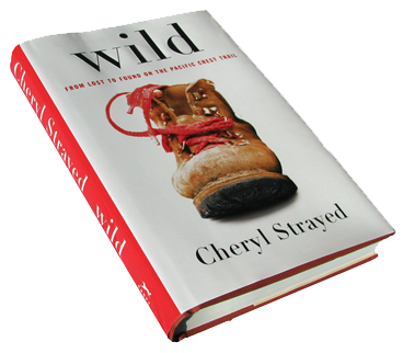 wildthorn book wildthorn book