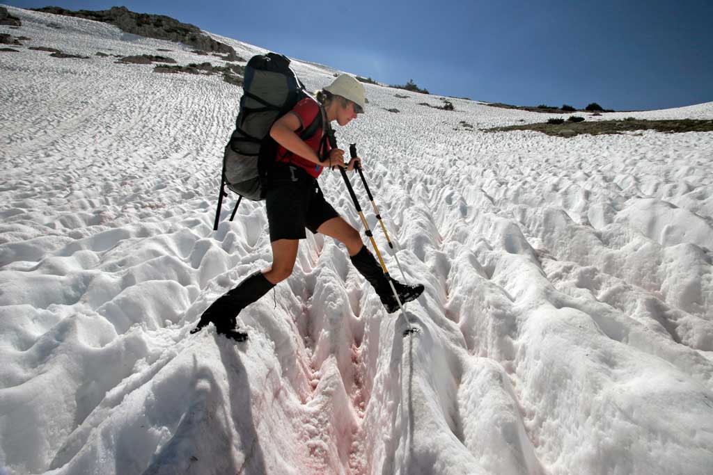 snow trail crest pacific kobel pct hike facts philipp important very