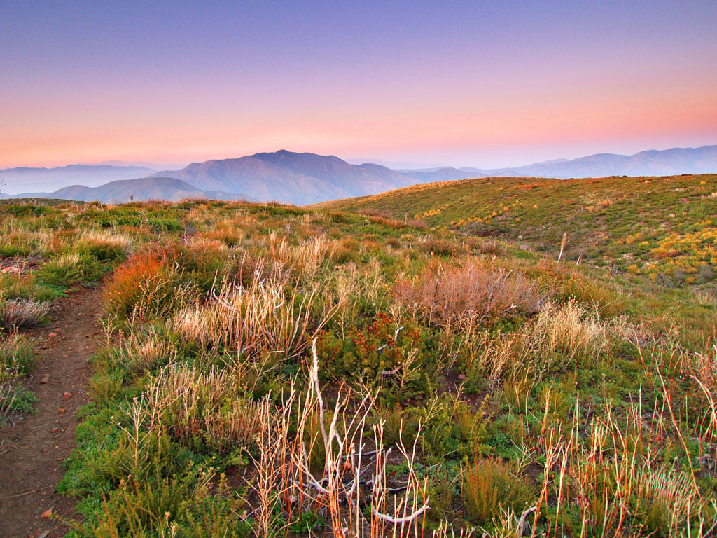 Best Hikes in Southern California: Scenic Trails Unveiled