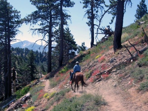 A Pacific Crest Trail rider heading towards Mt. Baldy. Photo by Mary Bays
