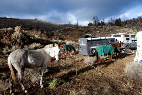 Horse trailers on the Pacific Crest Trail. Photo by Chris Ryerson