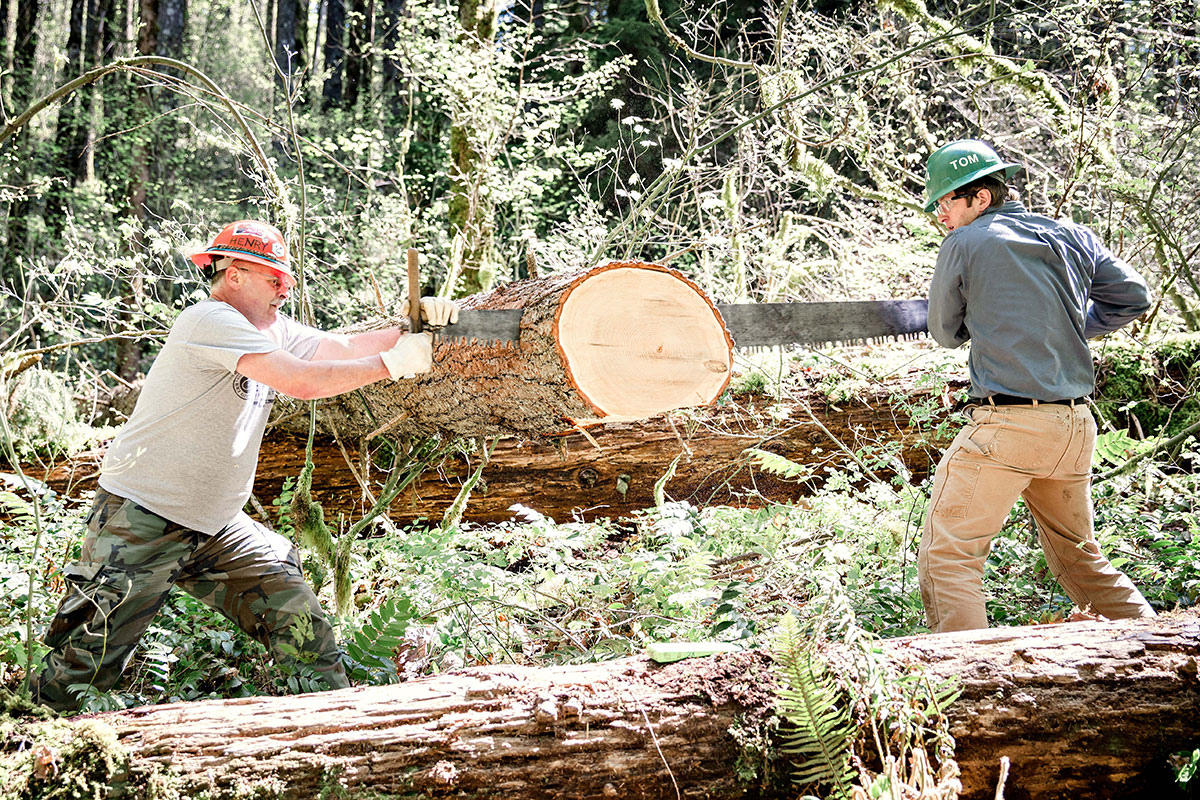 Southern California Saw Training and Certification Weekend Pacific