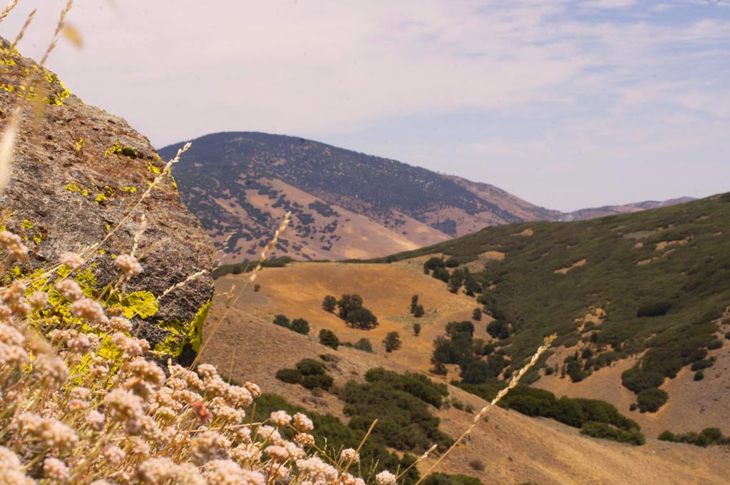 The PCT realignment will take hikers into the Tehachapi Mountain high country on Tejon Ranch. [Photo: Tejon Ranch Conservancy]