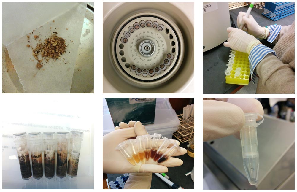 Lab-Images