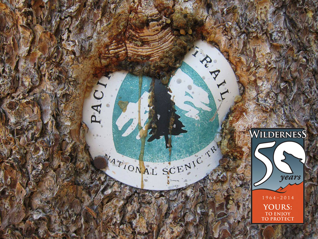 The PCT is "America's Wilderness Trail". Read the story.