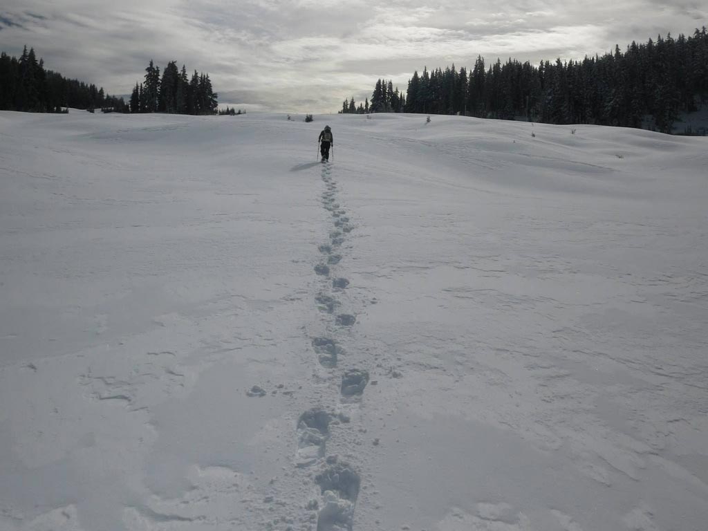 PCT_winter_thruhike_Justin_Lichter_Shawn_Forry_18