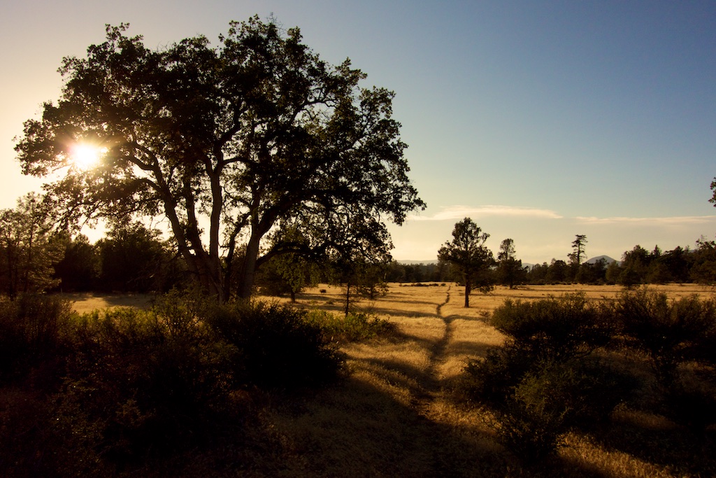 The trail winds through Grasslands near the town of Burney. Northern, California