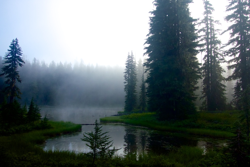 Mist blankets a pond near Mt. Adams.Washington State
