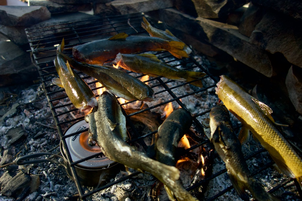 A meal of fresh caught trout is a welcome break from rehydrated dinners and granola bars. High Sierra, California