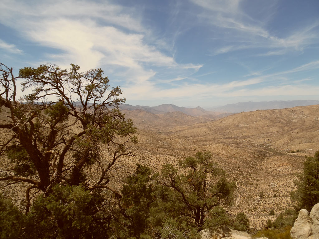 Kelso Canyon, Pacific Crest Trail.