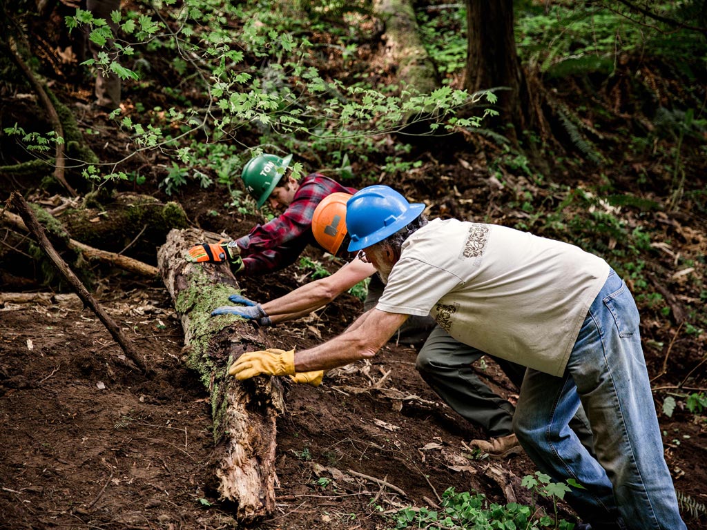 Practicing trail decommissioning. Photo: Gray Feather Photography.
