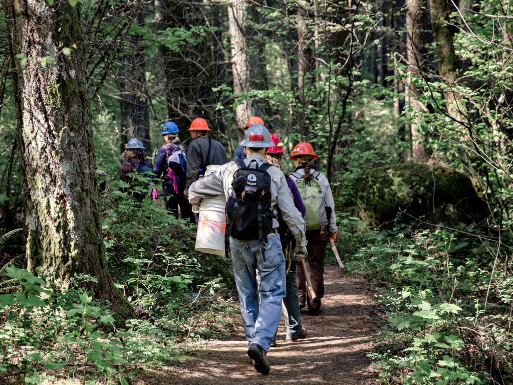 trail-crew-volunteer-pct