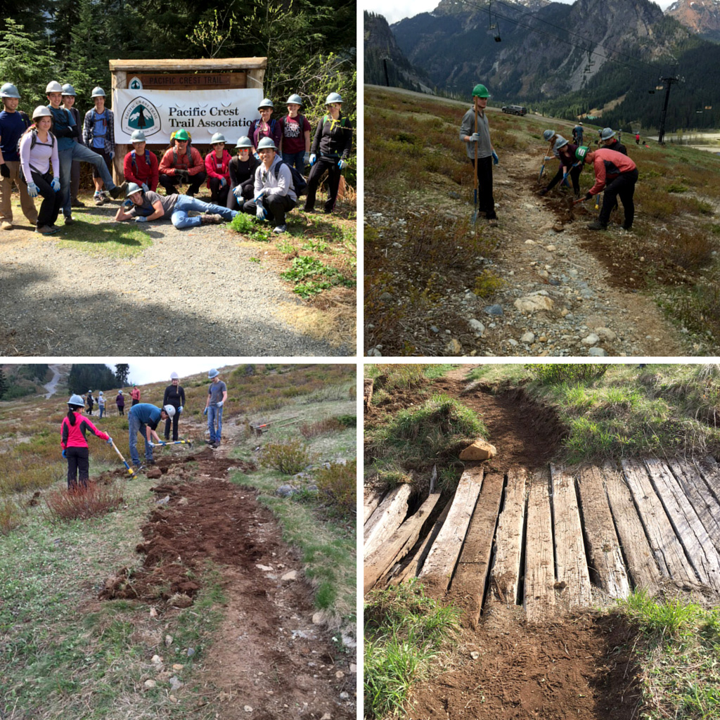 Students from Bellevue College’s Wilderness Skills Certificate program volunteer on the Pacific Crest Trail.