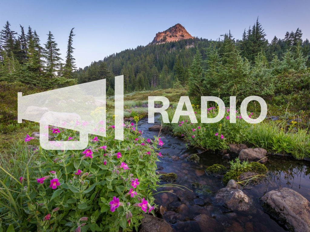 RADIO-(1)