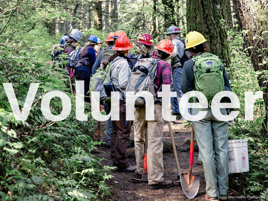 Volunteer on the Pacific Crest Trail