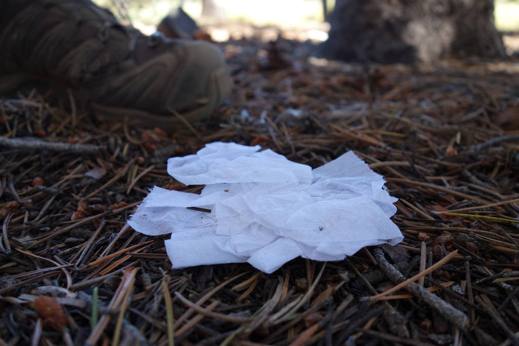 Please pack out your toilet paper. Our ranger friends spend far too much time picking it up. It's gross.