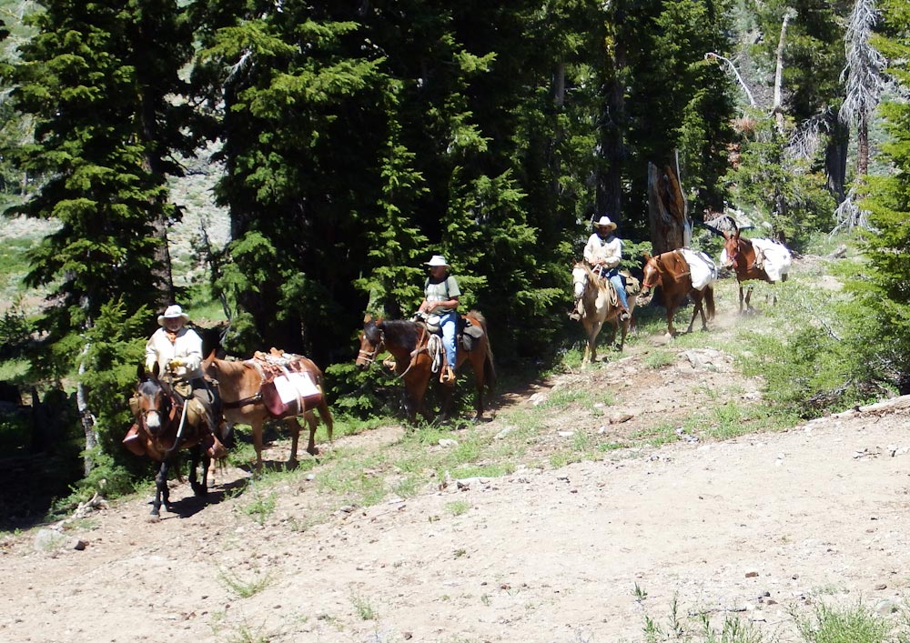Back Country Horsemen, Motherlode Chapter riders Jerry Heitzler, Larry Raner and Mike Kohlbaker delivering water to Benson Hut.
