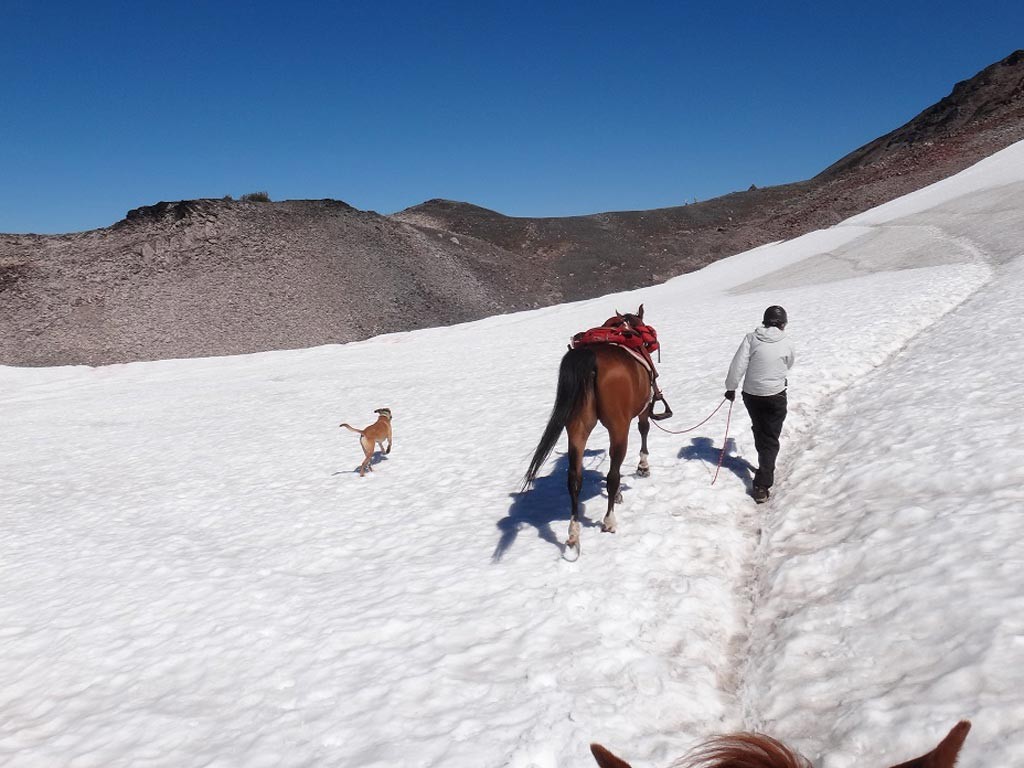 Barb, her horse Snickers, and Crockett crossing the snowfield before Old Snowy. Photo by Diane McCuin.
