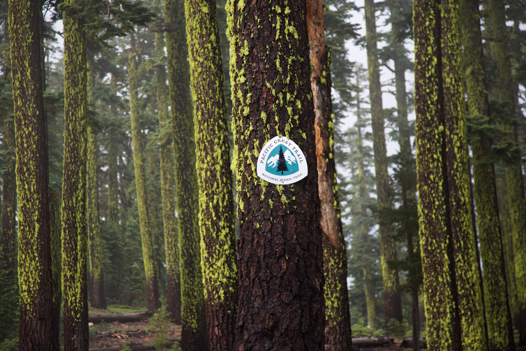 Their work created the National Trails System and protected beautiful places like this for us all to enjoy. Photo by Andrew Geweke.