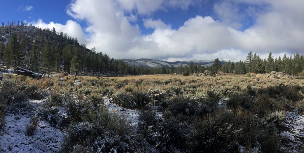 Help save Landers Meadow, a special place along the Pacific Crest Trail.