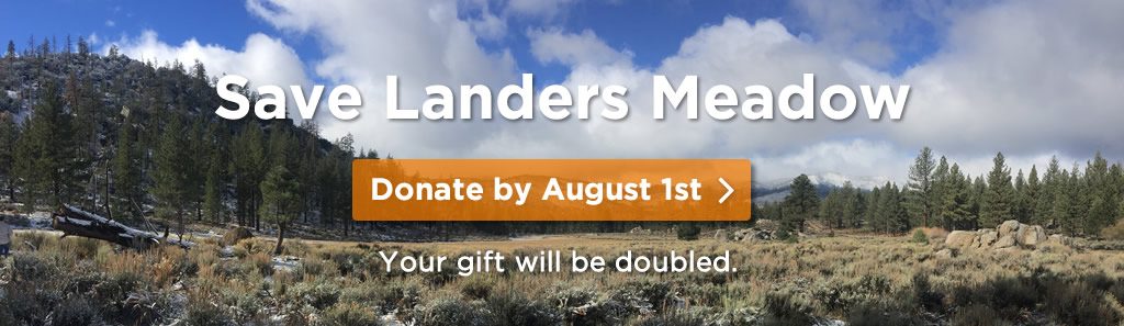 save-landers-meadow