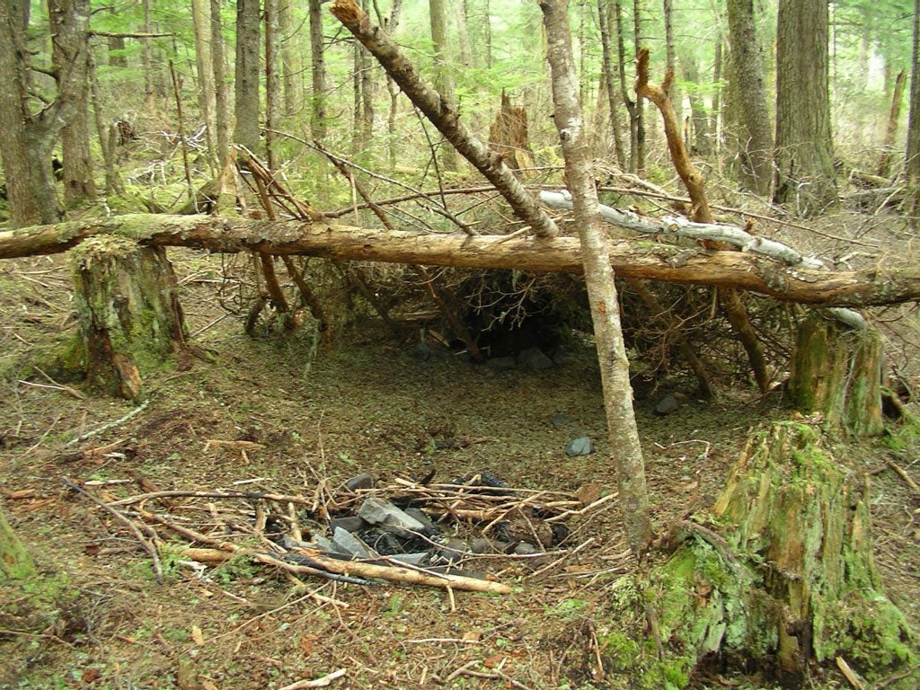 Survival shelter left behind in the forest. 