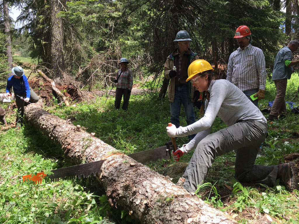 Volunteers learned how to clear trails with traditional crosscut saws. Photo by Ivan Rokos.