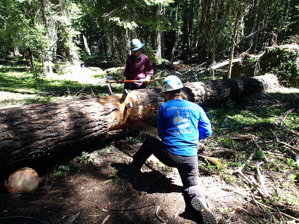 14 volunteer sawyers were certified to operate crosscut and chainsaws during the Trail Skills College weekend. Thank you to the volunteer sawyers and volunteer saw instructors for teaching these important skills.
