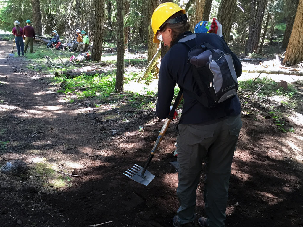 The McLeod is a common hand tool for trail maintenance. Here a volunteer is using a McLeod to tamp down dirt in a drainage feature.