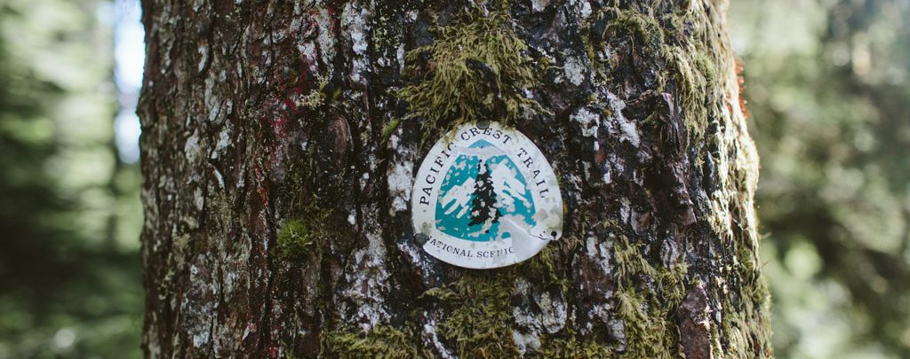 A Pacific Crest Trail sign on a tree remained standing. Photo by Vincent Carabeo/Uphill Designs.