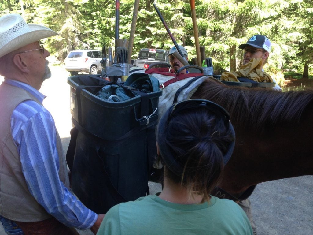 Volunteer packers and their stock carry all the tools, kitchen equipment, food and other supplies in and out of backcountry volunteer basecamps, leaving trail workers free to backpack with only their personal gear. Here Backcountry Horsemen of Oregon volunteer Jim Forsman trains PCTA crew leaders how to load and adjust toolboxes.