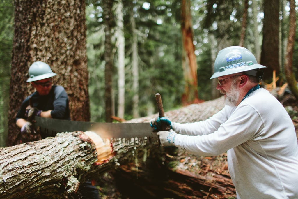 PCTA North 350 Blades use a crosscut saw on a tree to clear logs off the Pacific Crest Trail. Photo by Uphill Designs. 