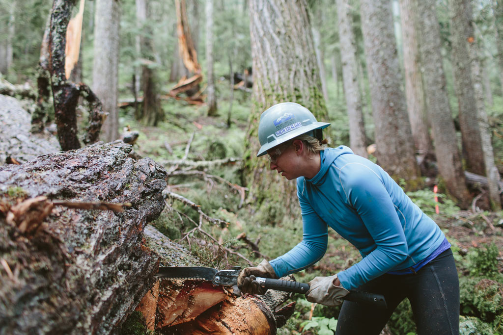 A volunteer from the Pacific Crest Trail Association North 350 Blades works on a tree that fell across the PCT. Photo by Dan Sedlacek of Uphill Designs.