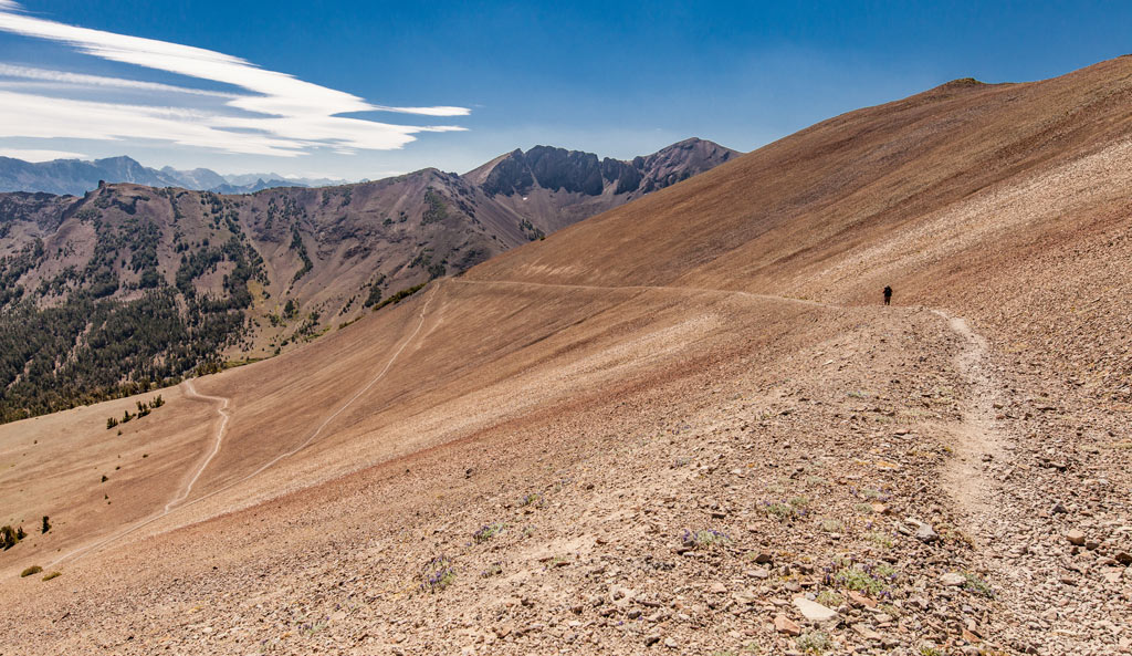 Photo of the Pacific Crest Trail south of Sonora Pass. Photo by Martin Christian