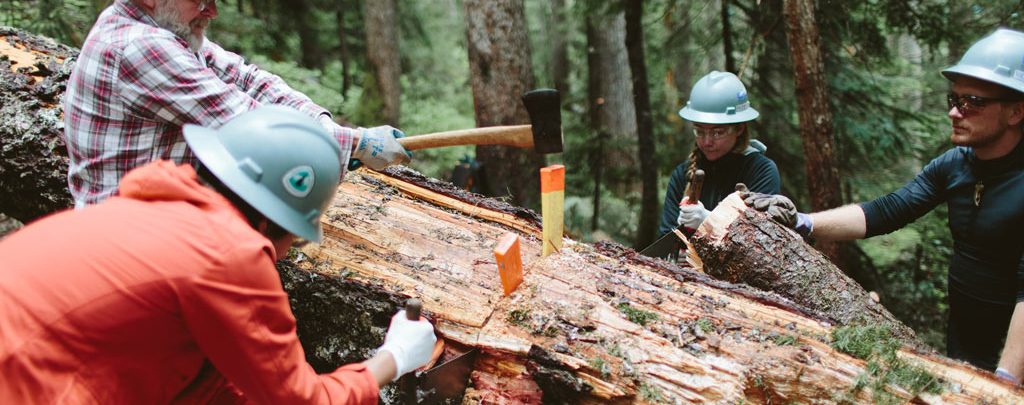 How to use a two handle crosscut saw to clear a trail. Here we are using wedges to help the crosscut glide easily. Photo by Vincent Carabeo/Uphill Designs.