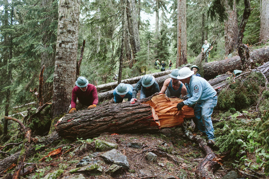 Volunteer trail crew doing logout on the Pacific Crest Trail in Washington gets a log rolling with a big push! Photo by Vincent Carabeo/Uphill Designs.