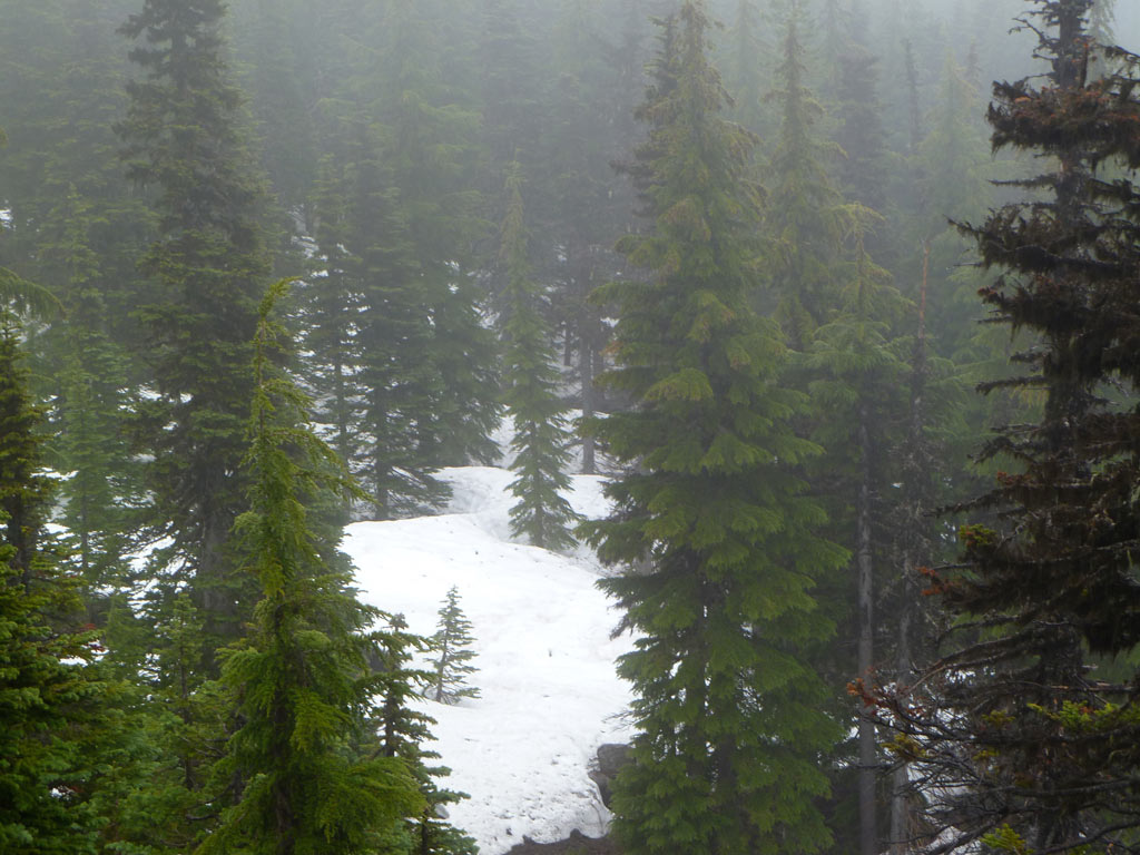 bingham-ridge-pct