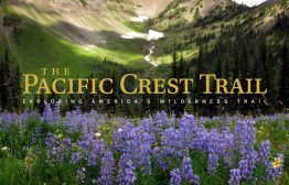 Buy our PCT book today. You'll love it. The Pacific Crest Trail: Exploring America’s Wilderness Trail is truly special. Published by Rizzoli. Written by Mark Larabee, Barney Scout Mann, with a forward from Cheryl Strayed.