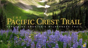 Buy our PCT book today. You'll love it. The Pacific Crest Trail: Exploring America’s Wilderness Trail is truly special. Published by Rizzoli. Written by Mark Larabee, Barney Scout Mann, with a forward from Cheryl Strayed.