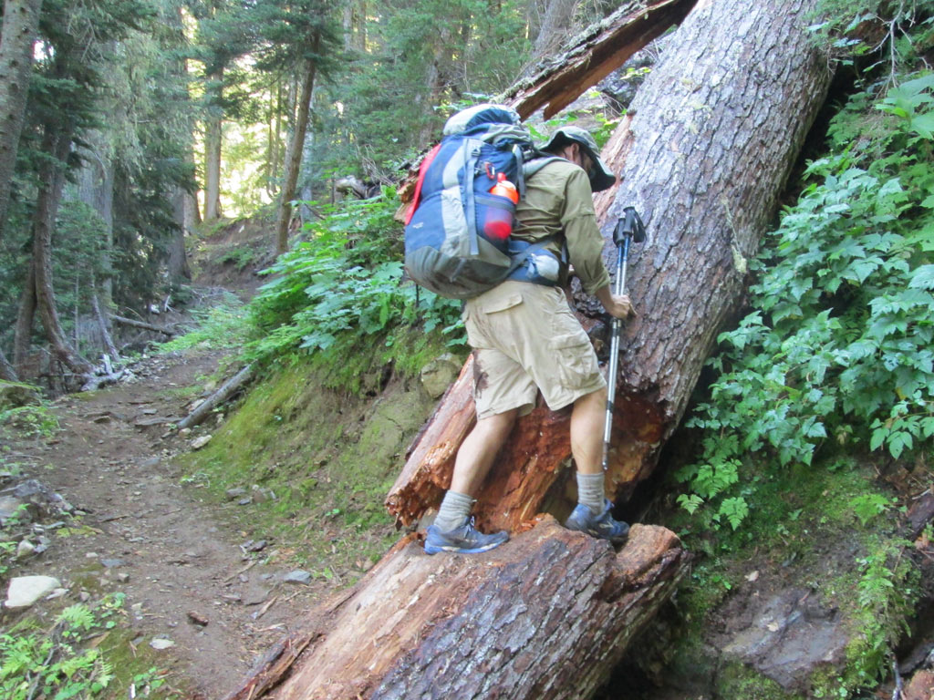 Crossing a downed tree. There were many! Thanks to all of you who go out and clear them.