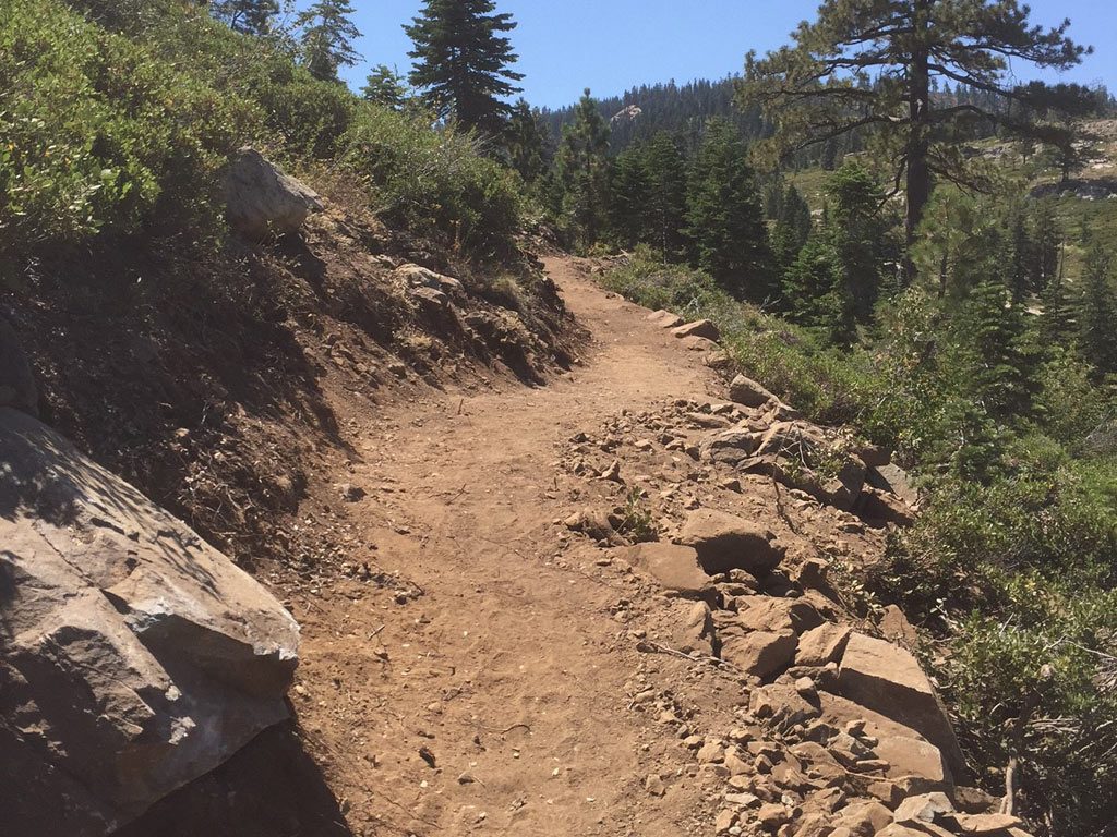 A little sample of the new Sierra Buttes section of PCT .