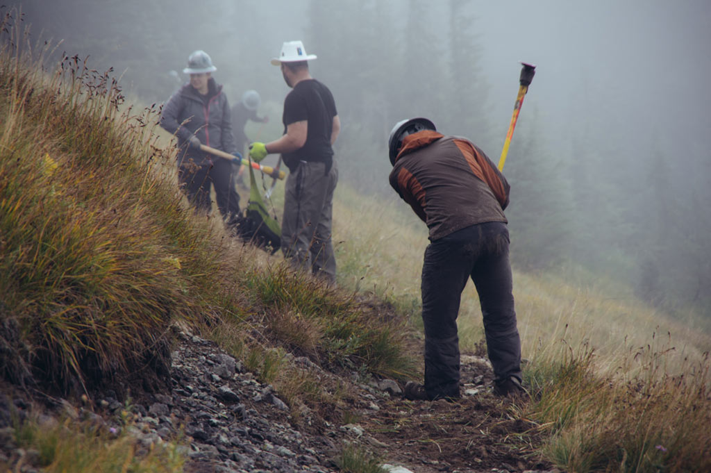 Volunteers hard at work north of Sheep Lake. Photo by Liz Donovan.