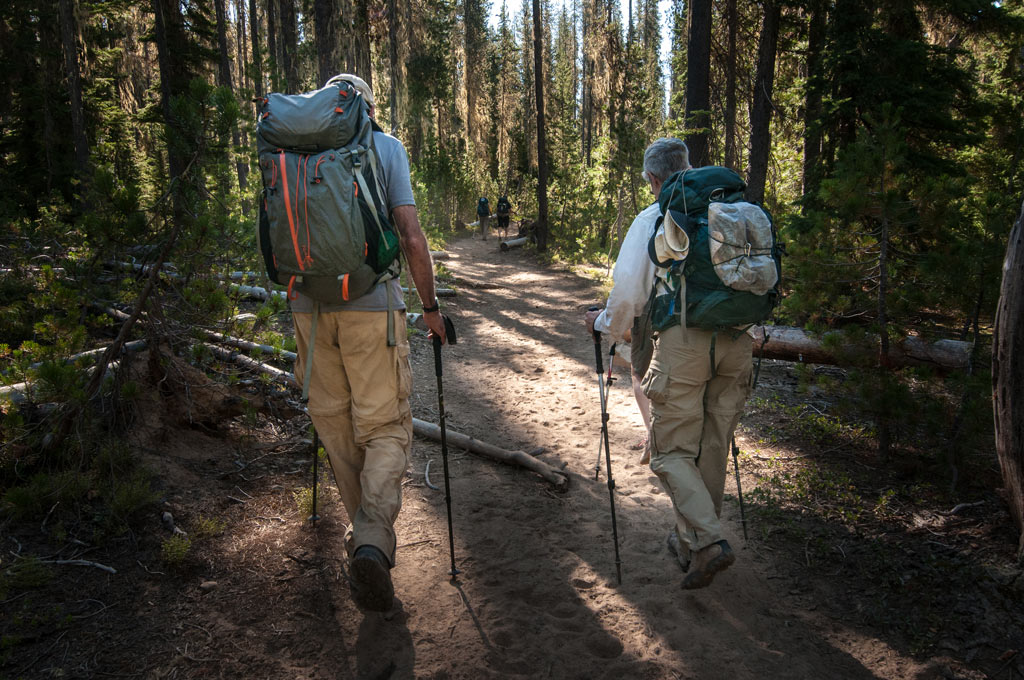 backpackers-hiking-through-a-forest-on-the-pacific-crest-trail