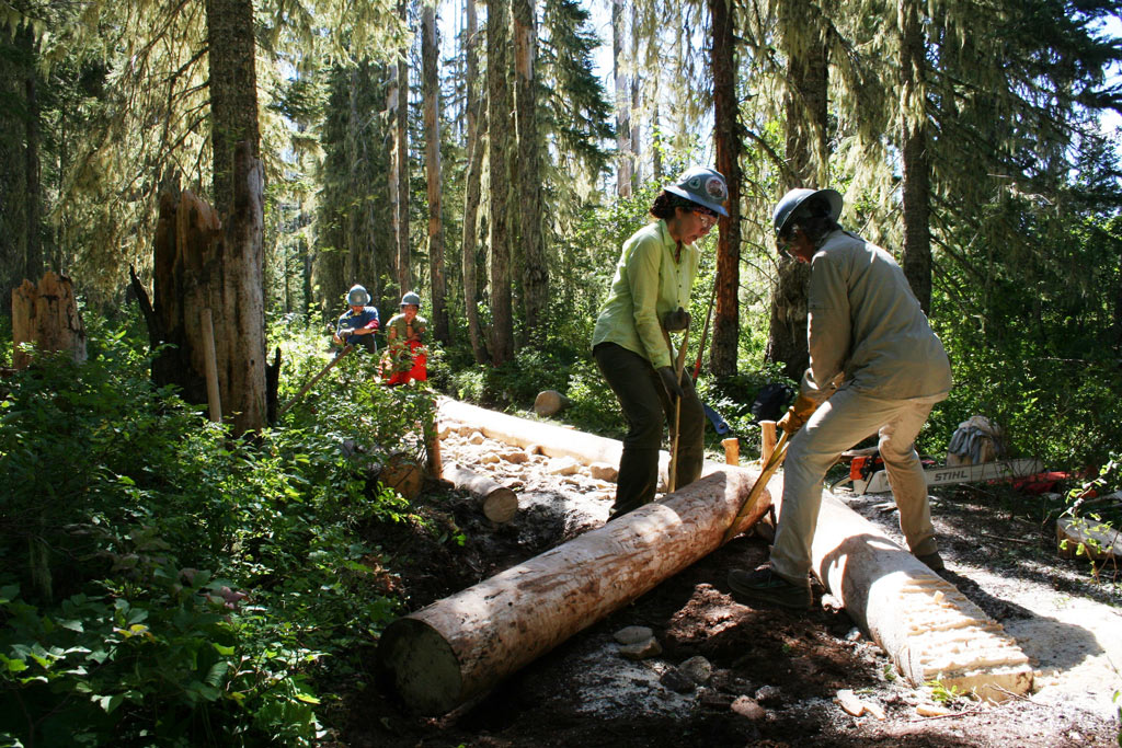 Volunteers Christina Risa and Joan "Blue Jay" Tomlinson using team work to position a fresh log during construction of a turnpike extension in the Lemiti Meadows section of Oregon while crew leaders Jennica Tamler and Wes Jones plan the next step. Photo by Rik Williams