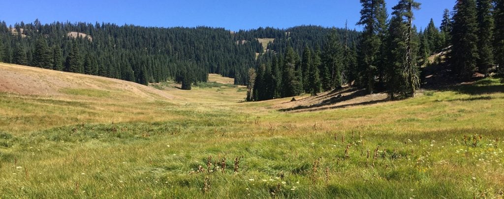 The Donomore Meadows property as you see it from the Pacific Crest Trail.