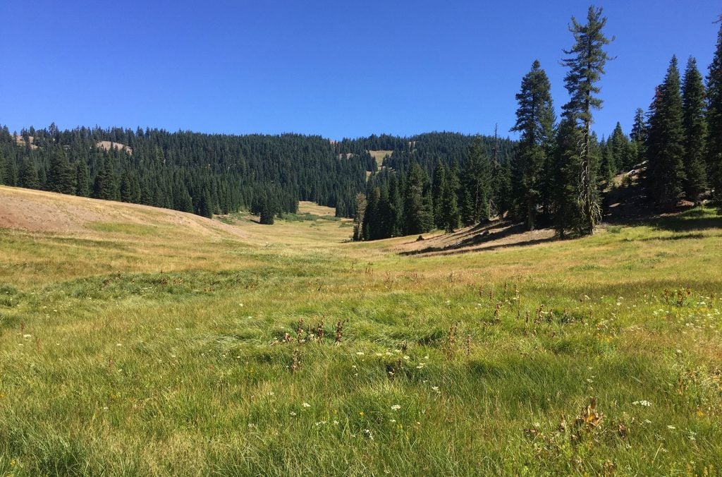 The Donomore Meadows property as you see it from the Pacific Crest Trail.