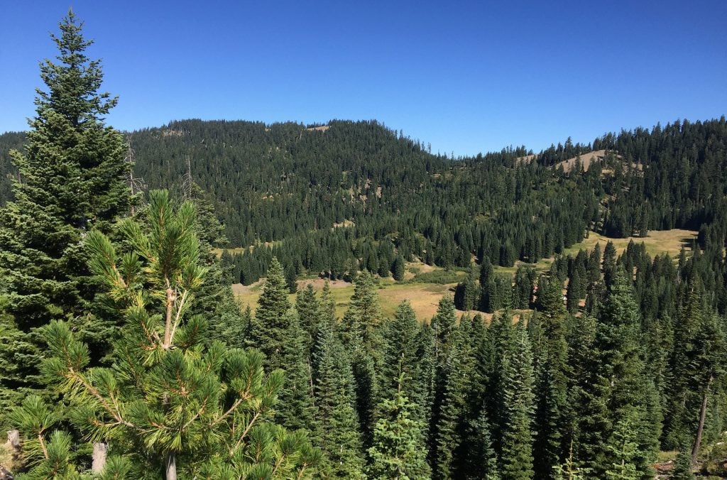 A view of the Donomore Meadows property from a U.S. Forest Service road.