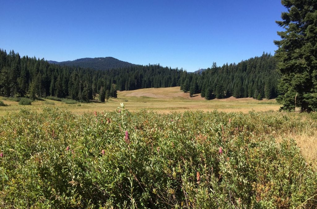 Looking across Donomore Meadows toward the Pacific Crest Trail.