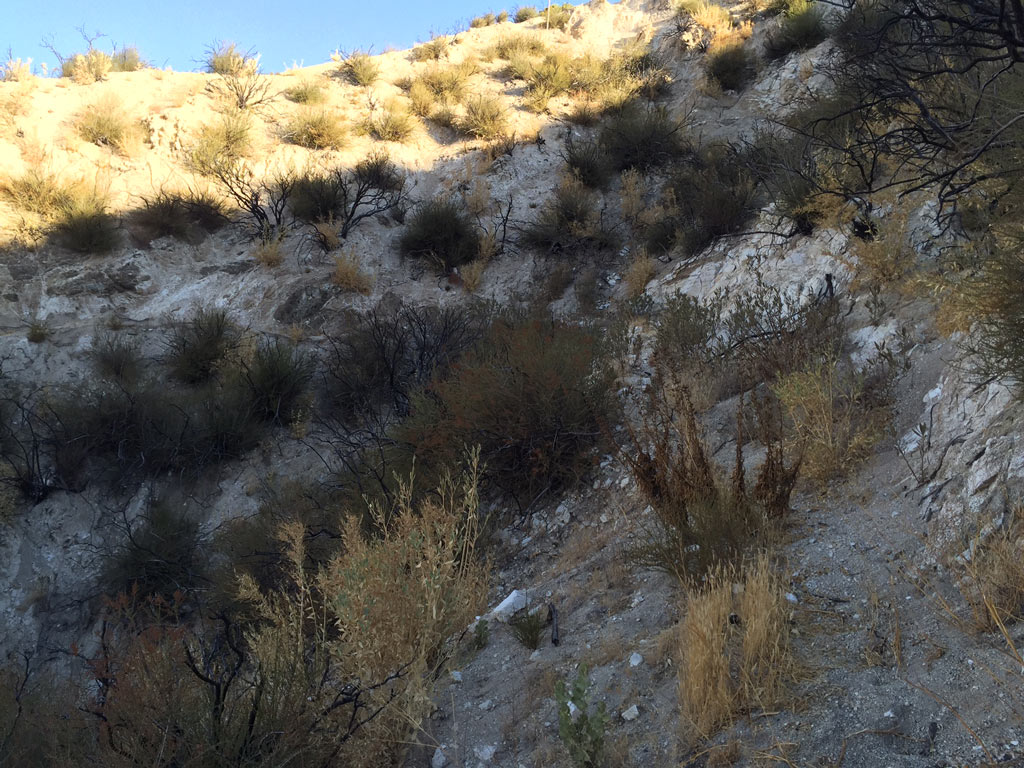 The PCT in the burn area prior to reconstruction. Photo by Conner Swift